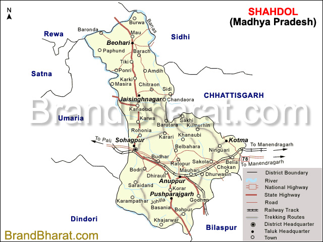 Shahdol